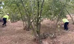 Düzce'de kaybolan kadın hala bulunamadı!