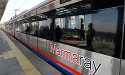 Marmaray Hattına Ağaç Devrildi!