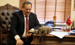 Erdoğan'dan Mustafa Demir için başsağlığı mesajı