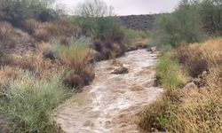 ABD'nin Arizona eyaletinde sel felaketi can aldı