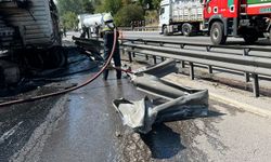Adana'da TIR'ı alevler sardı