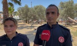 'Afet ve Acil Kurtarma' Köpekleri Görev Bekliyor