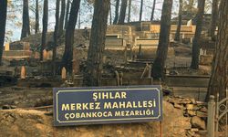 Alanya’da alevlerle mücadele sürüyor