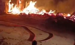 Amasya'da bağ evini alevler sardı