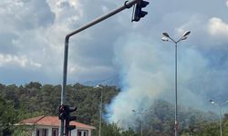 Antalya'da orman yangını çıktı