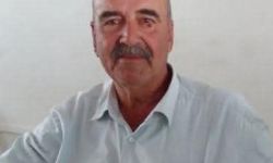 Arının soktuğu çiftçi hayatımı kaybetti
