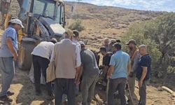 Ayağı kırılan 500 kiloluk ineği, omuzlarında taşıyarak veterinere götürdüler