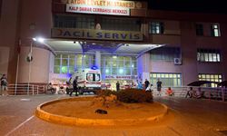Aydın'da Baba ve Kızı Vuruldu