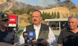Aydın'da orman yangını çıktı