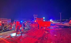 Balıkesir'de Otomobille kamyonet çarpıştı