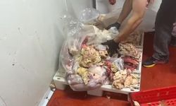 Başkent'te binlerce ton kaçak et ve tavuk ürünü ele geçirildi