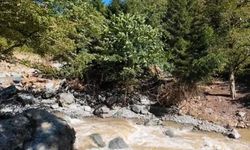 Borçka'da tarihi taş köprü selde yıkıldı