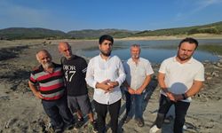 Bursa Çınarlı Göleti'nde balık ölümleri arttı