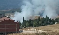 Bursa'da çıkan anız yangınında 30 dönümlük alan hasar gördü
