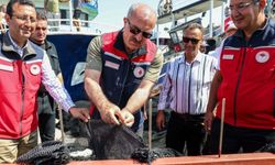 Çanakkale'de balıkçılar av dönemi için hazır
