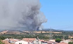 Çanakkale'de bir orman yangını daha çıktı