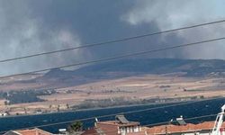 Çanakkale'deki arazi yangını ormana sıçradı: Müdahale sürüyor