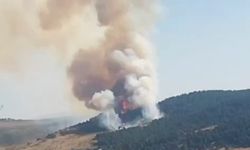 Çankırı yangını kontrol altına alındı