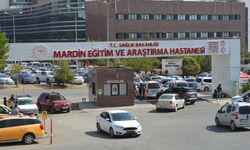 Ceviz toplarken düşen muhtar hayatını kaybetti