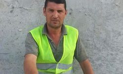 Ceviz toplarken elektrik akımından öldü