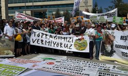 CHP’den Zeytin-Maden Yasası için AYM Başvurusu