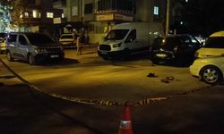 Düğünde çıkan kavgada hayatını kaybetti
