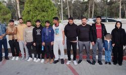 Edirne'de 12 kaçak göçmen yakalandı