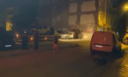 Elazığ'da silahlı kavga