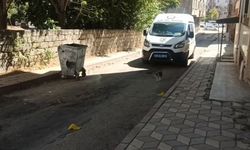 Elazığ'da silahlı saldırı