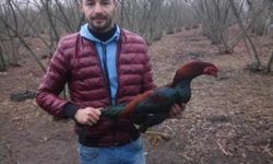 Fabrikada sıkışan işçi hayatını kaybetti