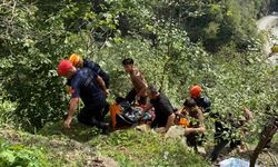 Giresun'da kamyonet uçurumdan yuvarlandı