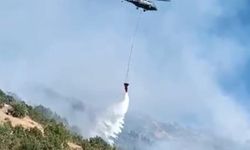 Hakkari'deki orman yangını büyük ölçüde kontrol altına alındı