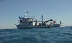 İzmir Körfezi’nde ahtapotlar için yapay resif seferberliği