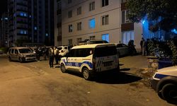 Kayseri'de üvey babasını bıçakla yaraladı