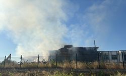 Kereste fabrikasındaki yangının çıkış sebebi inceleniyor