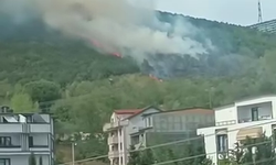 Kocaeli'de orman yangını