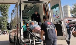 Küçükbaşların çiftliğinde yangın paniği