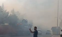 Küçükçekmece'de otluk alandaki yangın kontrol altına alındı