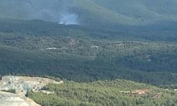 Kütahya'da ormana düşen yıldırım yangına sebep oldu