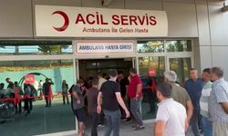 Kuzenler arasındaki kavga kanlı bitti