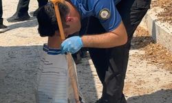 Merdivenden düşüp hayatını kaybetti