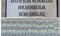Milyon lira vurgun yapan dolandırıcılar yakalandı