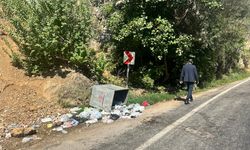 Munzur Vadisi alarm veriyor: 2 milyon araç, yaban hayatını tehdit ediyor