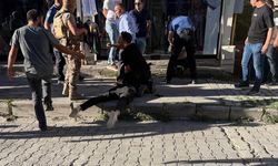Muş'taki silahlı kavga ölümle bitti
