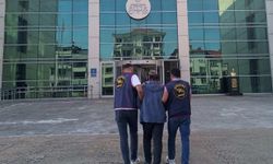 Ordu'daki fındık hırsızı yakalandı
