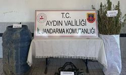 Ormanda Hint Keneviri Yetiştirdiler!