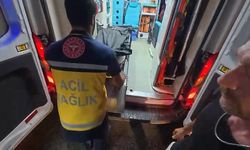 Rize'de Kamyonet Devrildi