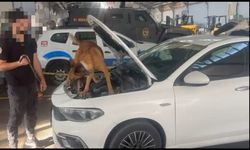 Van'da otomobilde sahte döviz ve uyuşturucu bulundu: 2 gözaltı