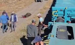 Yük treni büyükbaş sürüsüne çarptı