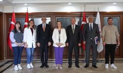 Etimesgut'ta sokak hayvanları için çözüm arayışı